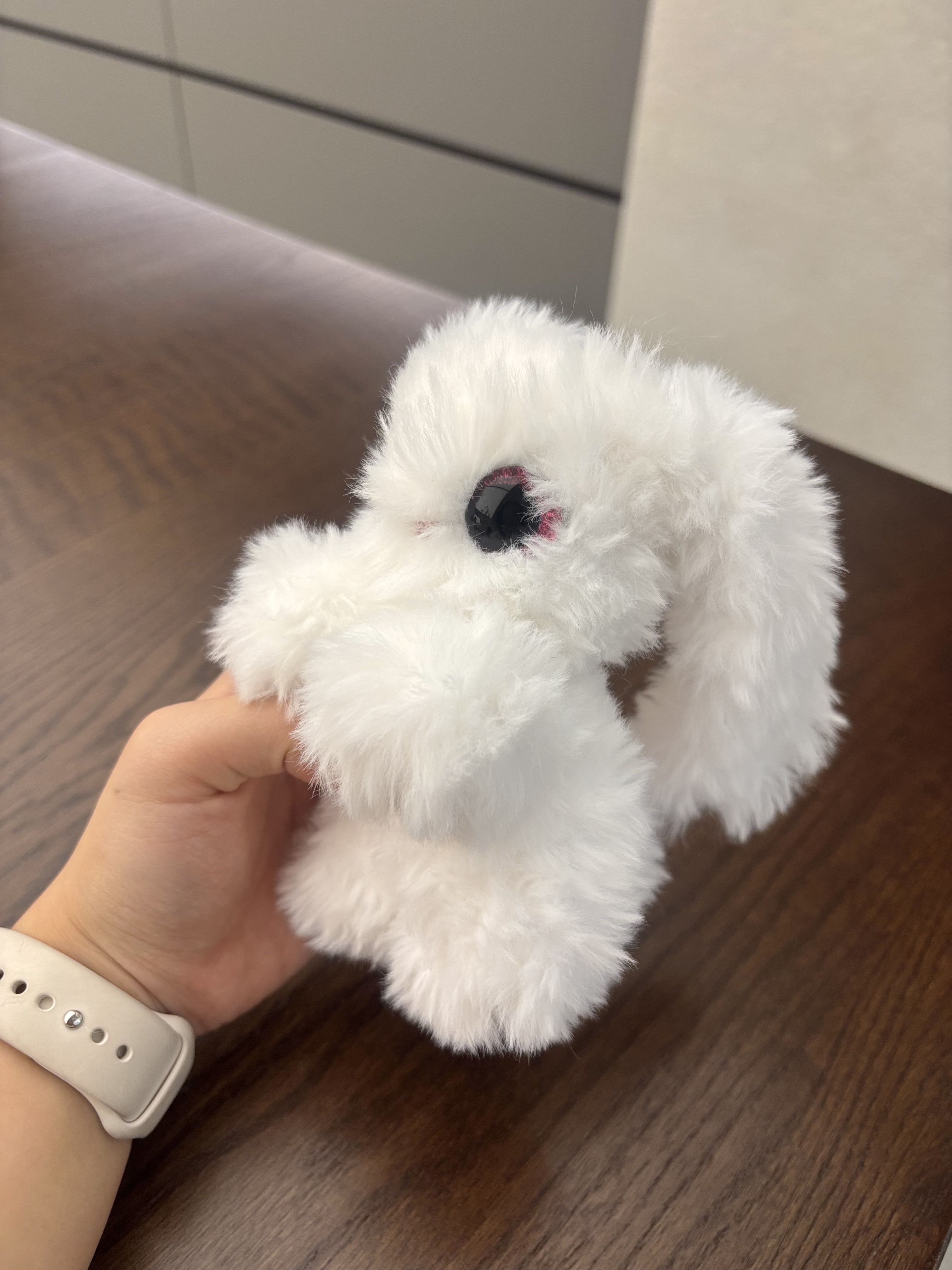 Lop Rabbit 9